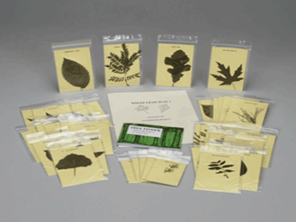 Leaf-Identification-Kit